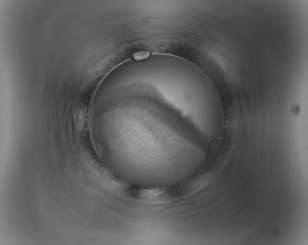 X0000114220139200910091356