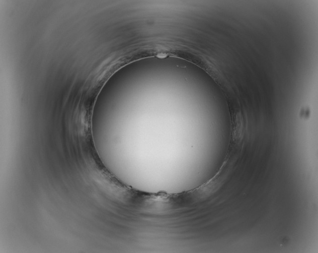 X0000114220140200910091356