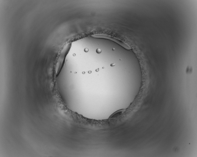 X0000114220144200910091356