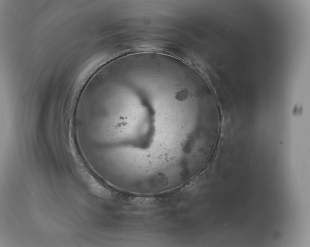 X0000114220145200910091355