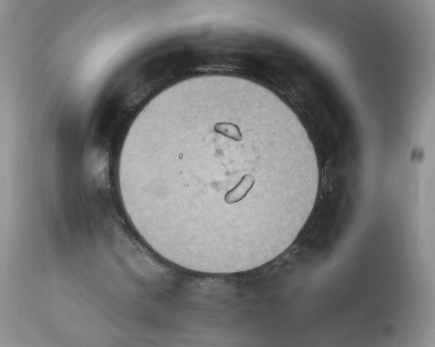 X0000114220146200910091355