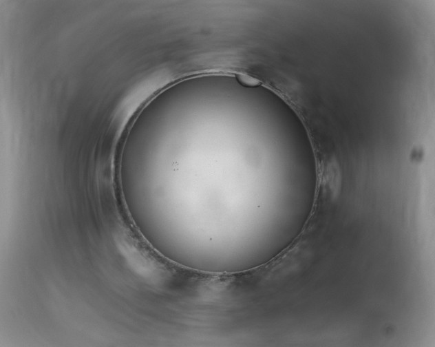 X0000114220148200910091355