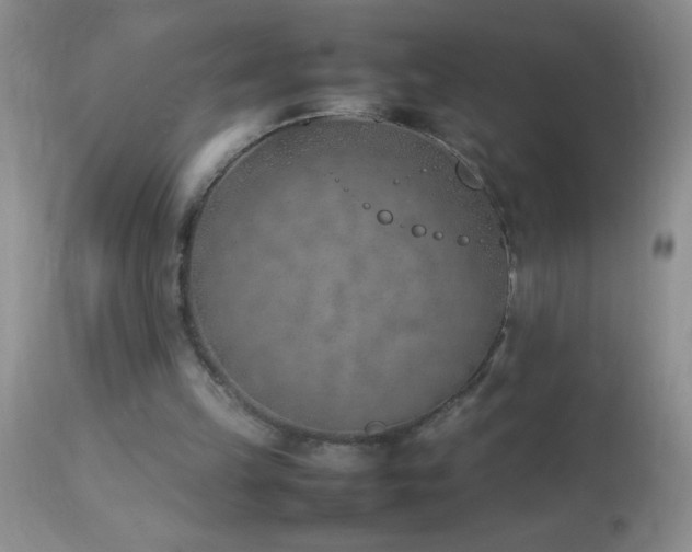 X0000114220149200910091355