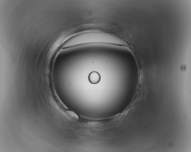 X0000114220150200910091355