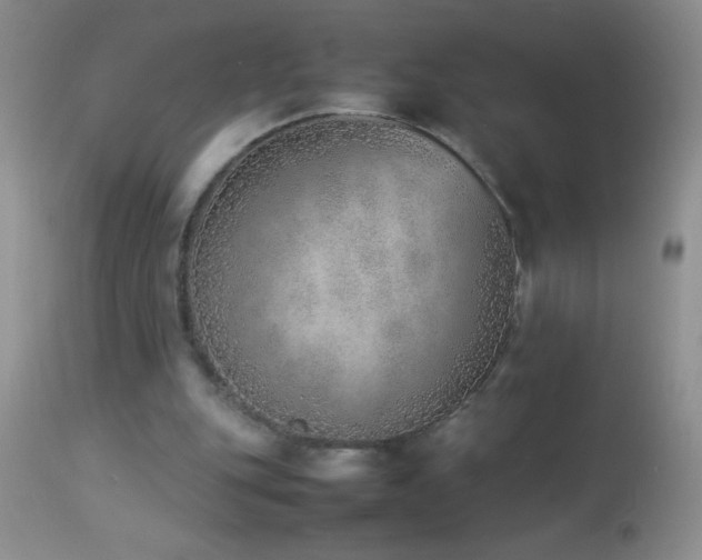 X0000114220151200910091355