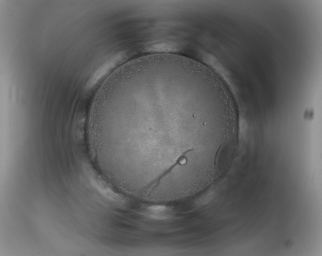 X0000114220153200910091355