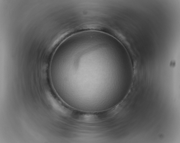 X0000114220154200910091355