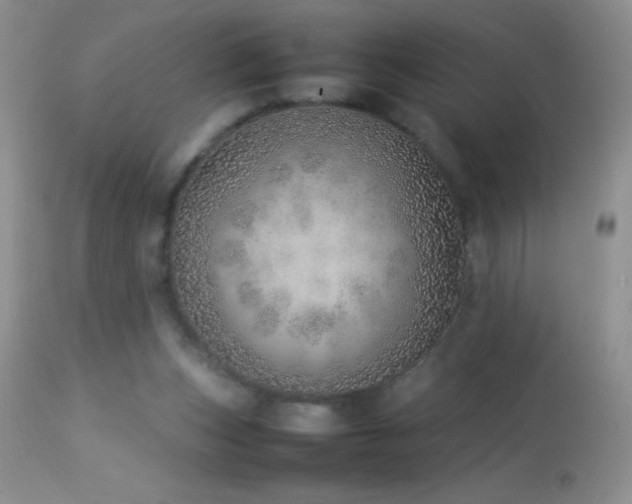 X0000114220159200910091356