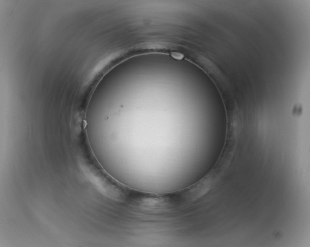 X0000114220160200910091356