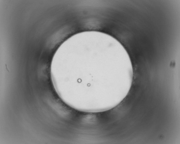 X0000114220162200910091356