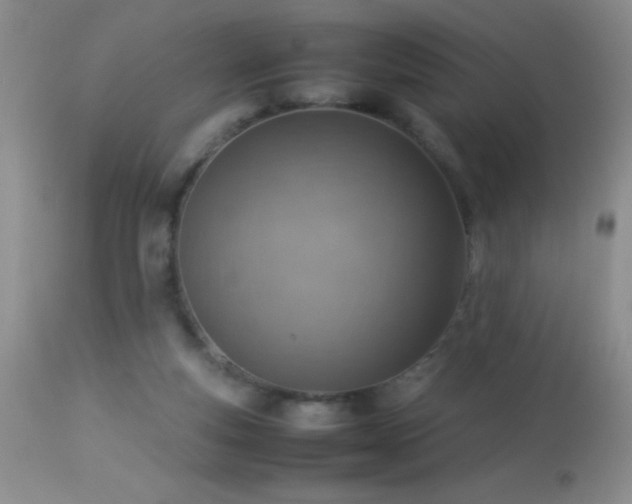 X0000114220163200910091356