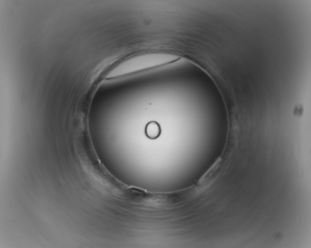 X0000114220164200910091356