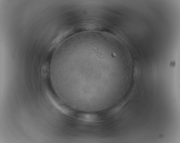 X0000114220165200910091356