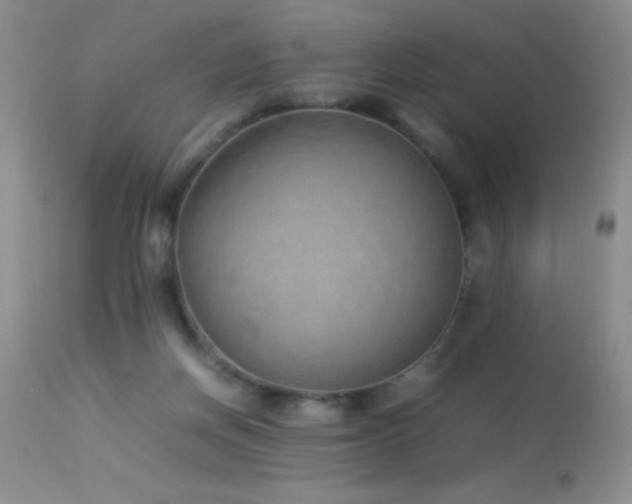 X0000114220166200910091356