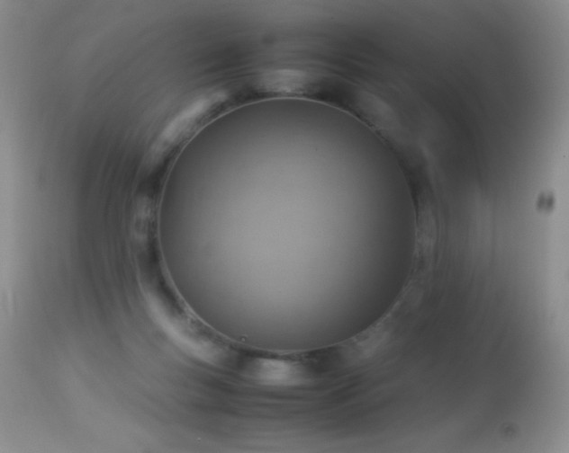 X0000114220167200910091356