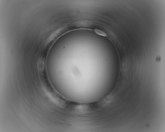 X0000114220168200910091356