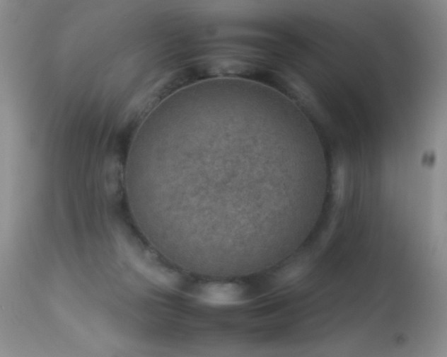 X0000114220169200910091356