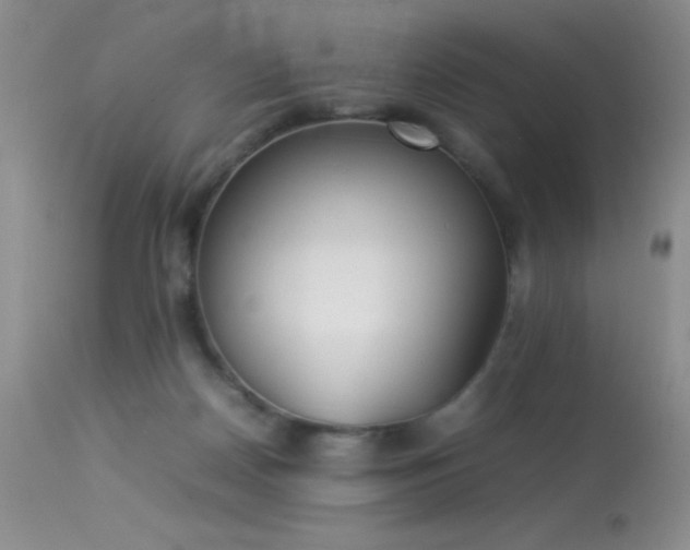 X0000114220170200910091356