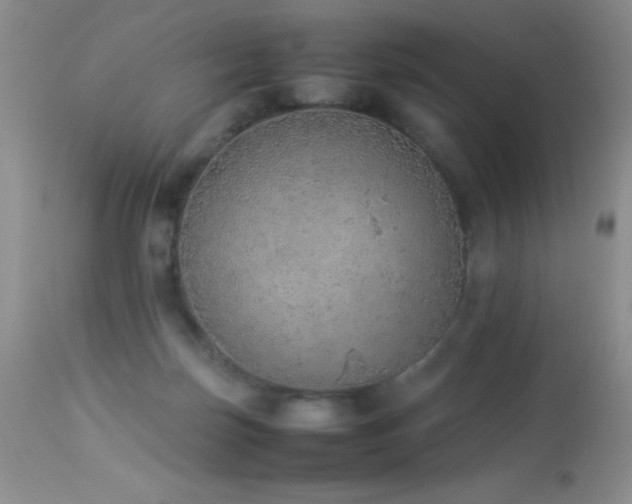 X0000114220171200910091356