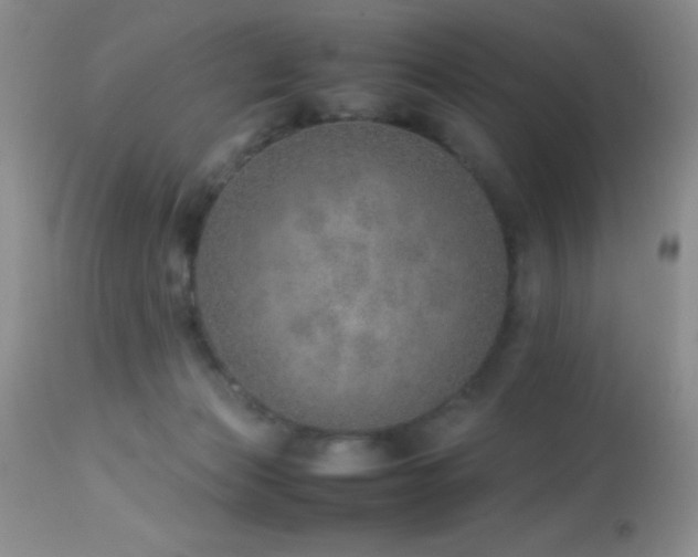 X0000114220173200910091356