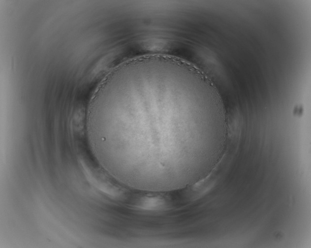 X0000114220175200910091356