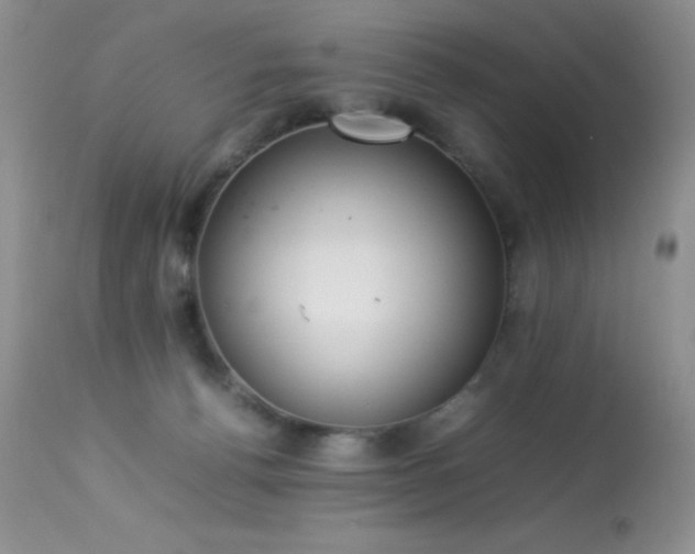 X0000114220176200910091356