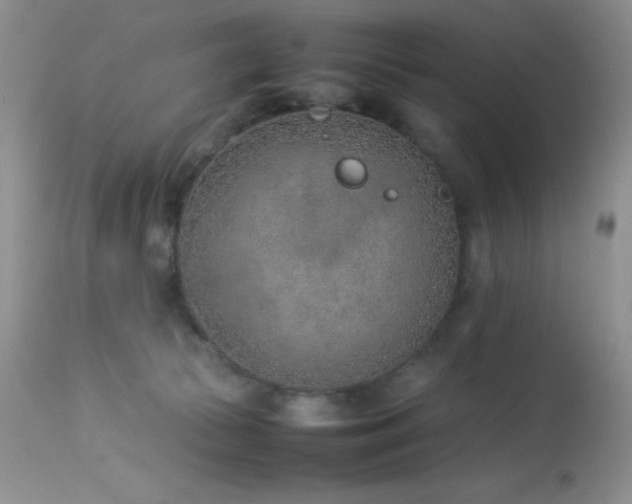 X0000114220177200910091356