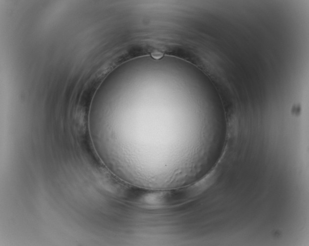 X0000114220178200910091356