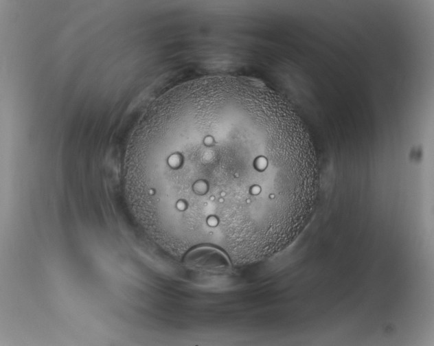 X0000114220179200910091356