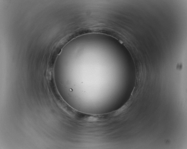 X0000114220180200910091356