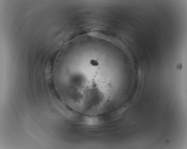 X0000114220181200910091356