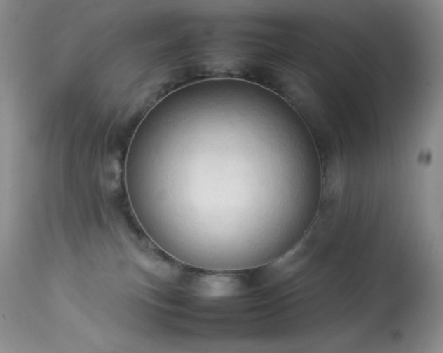 X0000114220183200910091356