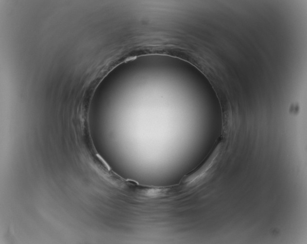 X0000114220184200910091356