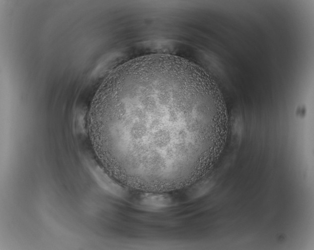 X0000114220185200910091356