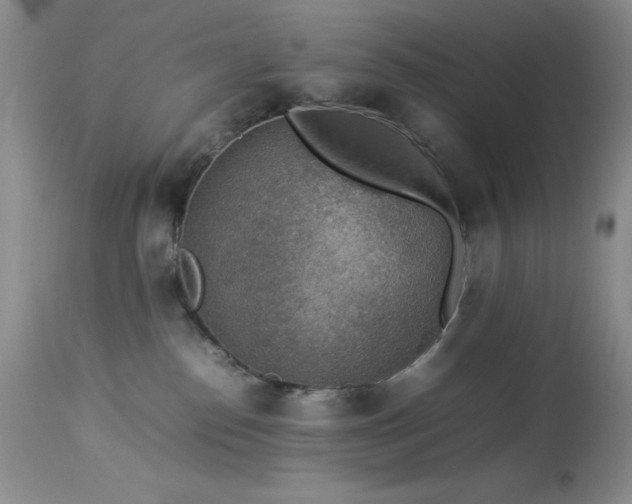 X0000114220186200910091356