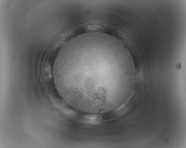 X0000114220187200910091356