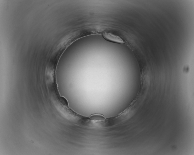 X0000114220188200910091356