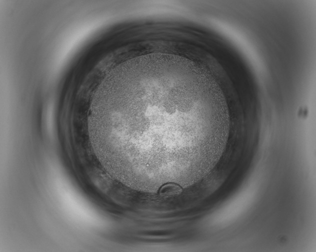 X0000114220189200910091356