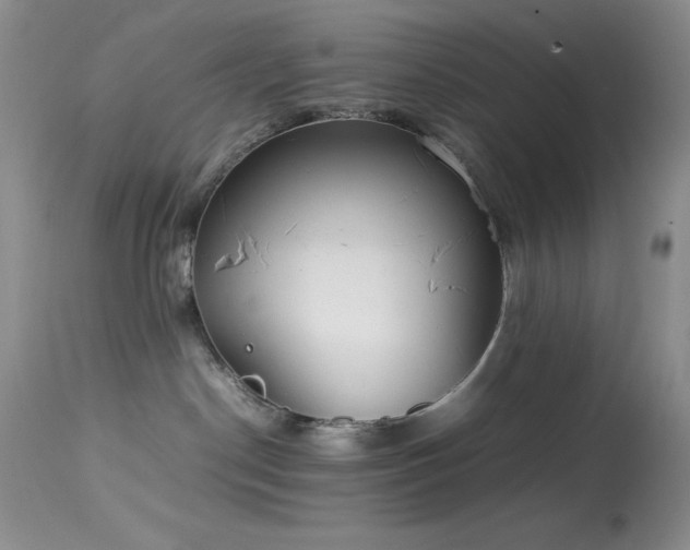 X0000114220190200910091356