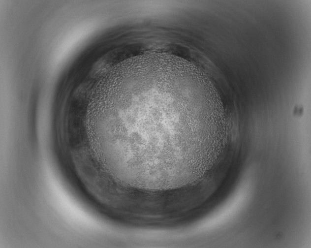 X0000114220191200910091356