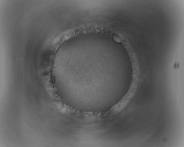 X0000114220192200910091356