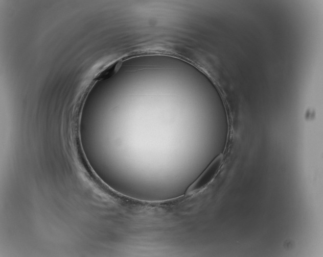 X0000114220193200910091355