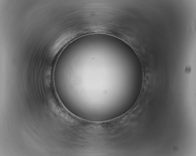 X0000114220194200910091355