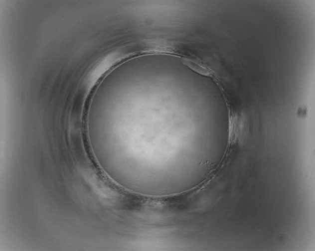 X0000114220195200910091355