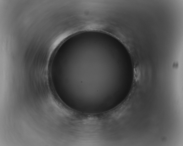 X0000114220196200910091355