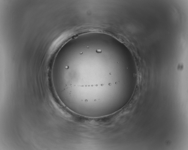 X0000114220197200910091355