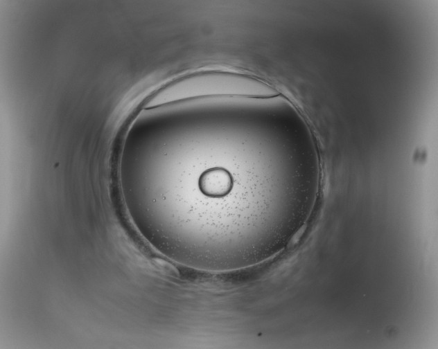 X0000114220199200910091355