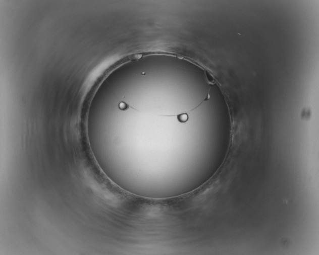 X0000114220200200910091355