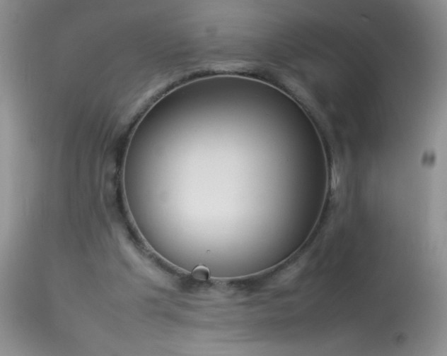 X0000114220201200910091355