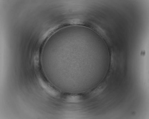 X0000114220202200910091355